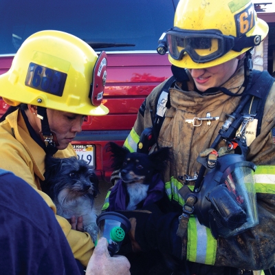 (Photo Courtesy:  Chino Valley Fire District) Traumatized, but okay, two pups are rescued from a house fire by CVFD Fire Inspector/Community Liaison Officer, Lena Lin; and Firefighter/Paramedic, Brett Underwood.  